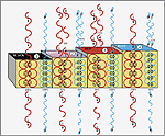 Lithium Legs and Apocalyptic Protons